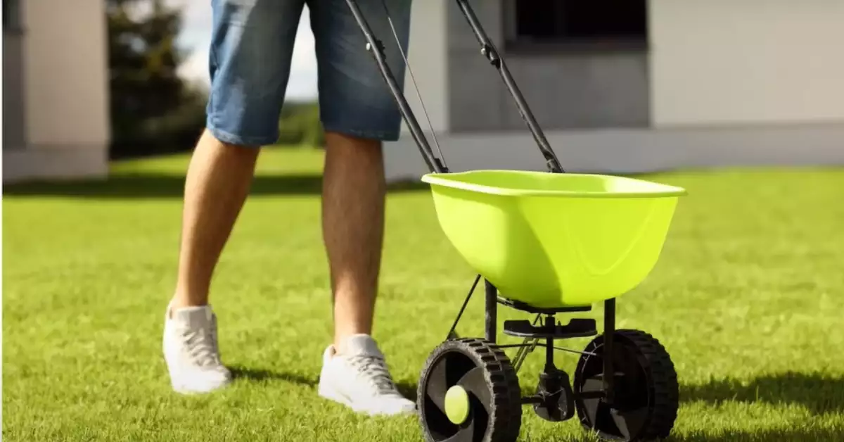 How To Know What Fertilizer To Use On Lawn? | Fall Lawn Fertilizer