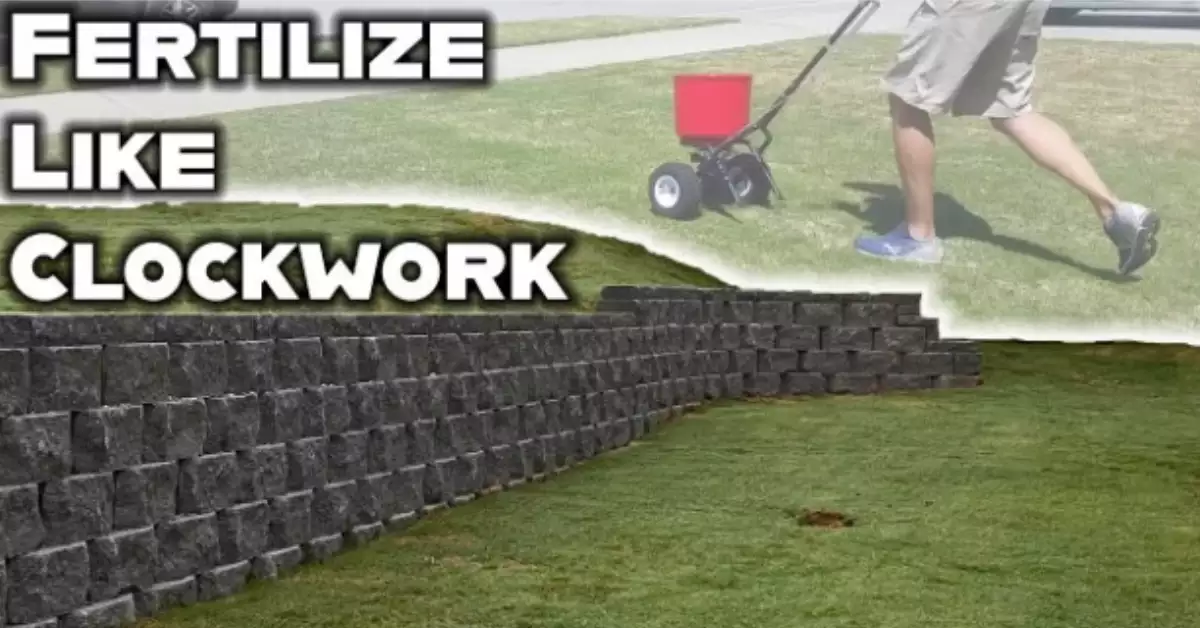 How To Naturally Fertilize Your Lawn? | Fall Lawn Fertilizer