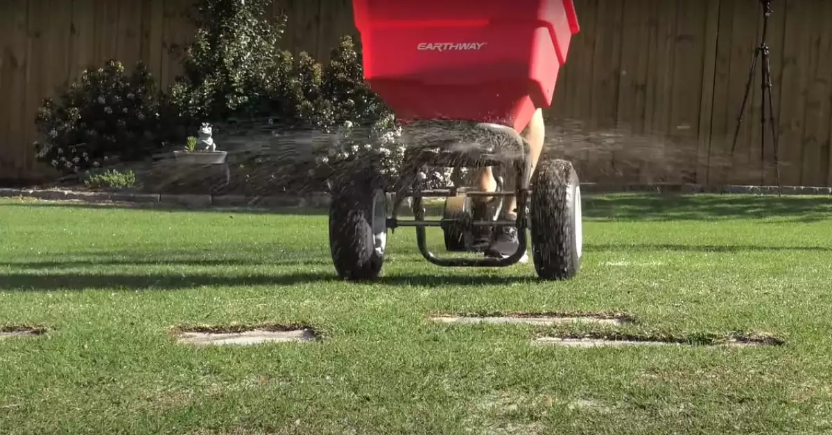 When To Apply Phosphorus Fertilizer To Lawn Lawn Tips